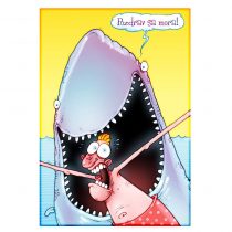 Ja volim leto – Ajkula