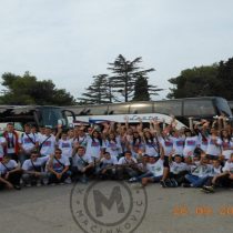 Cotton T-shirts with print