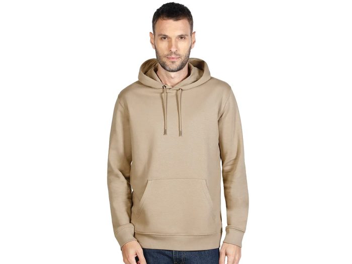 organic-cotton-hooded-sweatshirt-absolut-hoody-light-brown