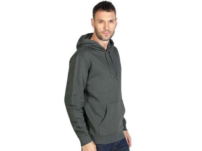 organic-cotton-hooded-sweatshirt-absolut-hoody-title